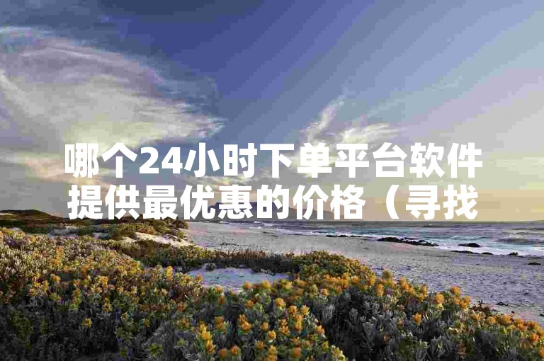 哪个24小时下单平台软件提供最优惠的价格（寻找性价比最高的24小时下单平台软件）。