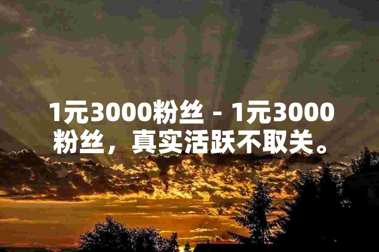 1元3000粉丝 - 1元3000粉丝，真实活跃不取关。