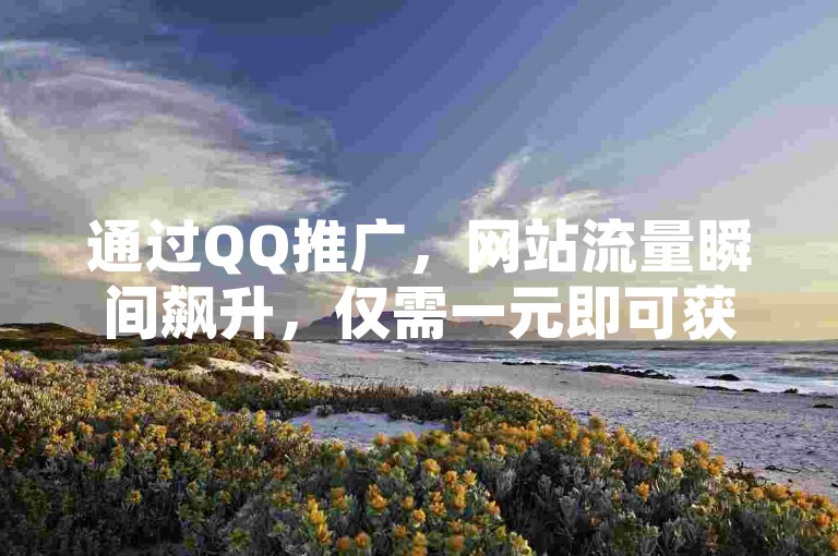通过QQ推广，网站流量瞬间飙升，仅需一元即可获得一万次的访问量。
