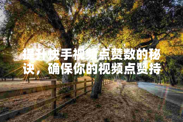 提升快手视频点赞数的秘诀，确保你的视频点赞持续增长。