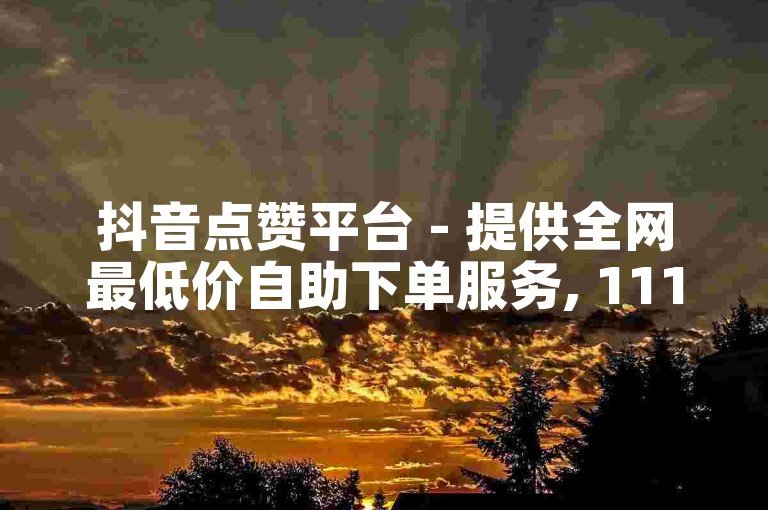 抖音点赞平台 - 提供全网最低价自助下单服务, 111免费获得赞的抖音机房接单平台。