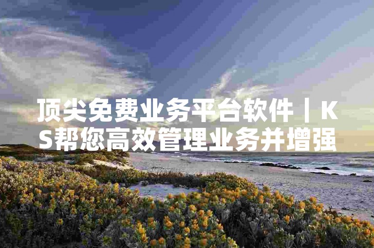 顶尖免费业务平台软件｜KS帮您高效管理业务并增强效能
