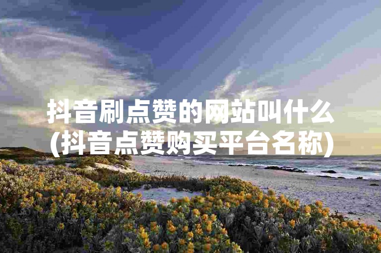 抖音刷点赞的网站叫什么(抖音点赞购买平台名称)。