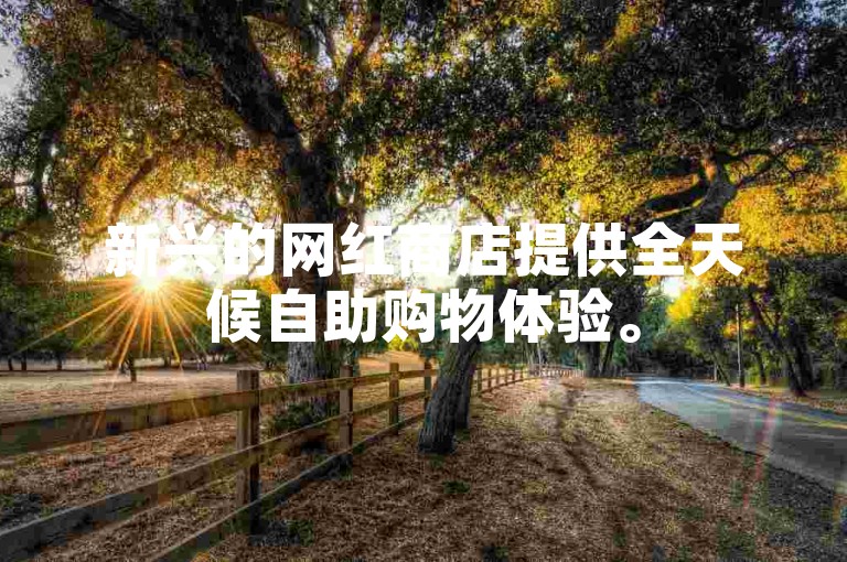 新兴的网红商店提供全天候自助购物体验。