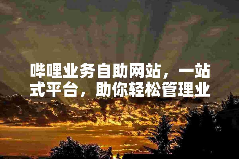 哔哩业务自助网站，一站式平台，助你轻松管理业务！2025必备技能。