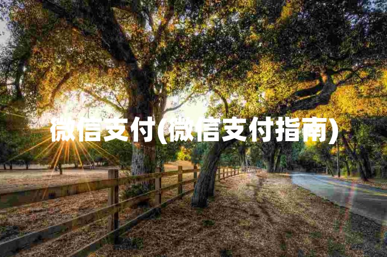 微信支付(微信支付指南)