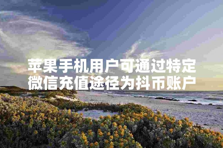 苹果手机用户可通过特定微信充值途径为抖币账户注入资金。