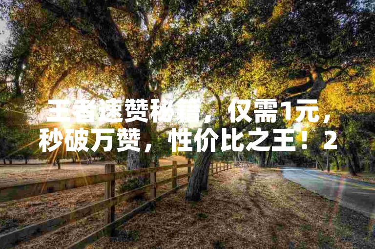 王者速赞秘籍，仅需1元，秒破万赞，性价比之王！2025年必备神技。