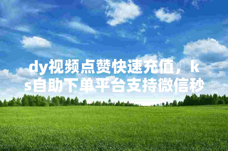 dy视频点赞快速充值，ks自助下单平台支持微信秒付。