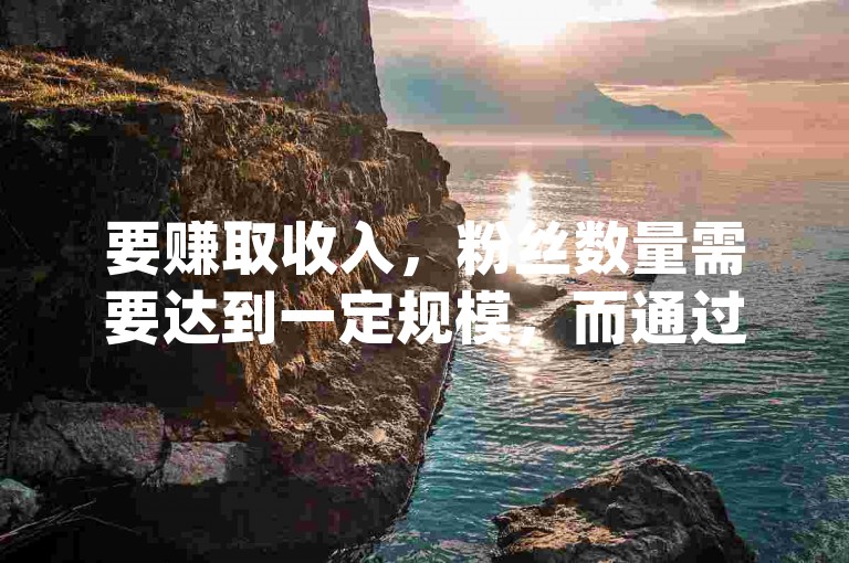 要赚取收入，粉丝数量需要达到一定规模，而通过点赞和购买超低的抖音24小时自动引流软件以及使用dy业务自助下单在线服务可以助力增长。