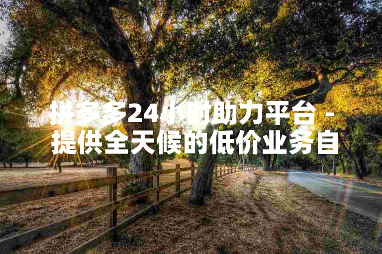拼多多24小时助力平台 - 提供全天候的低价业务自助下单服务。