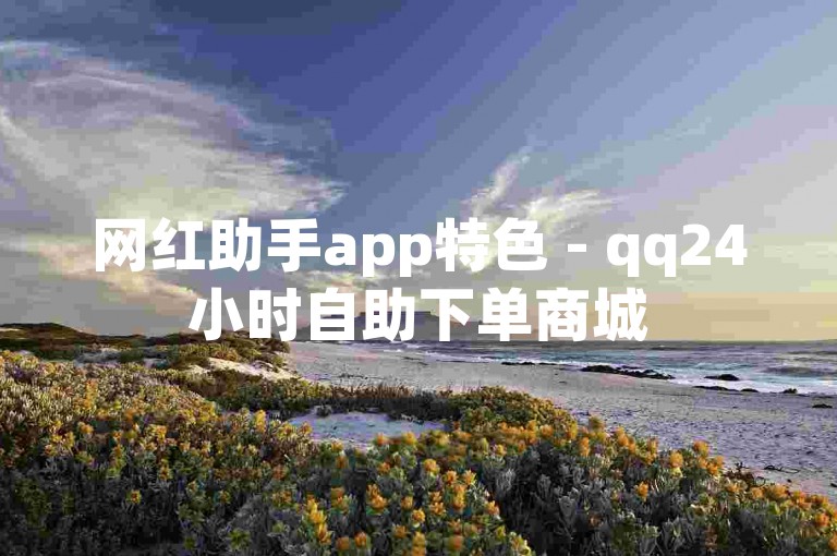 网红助手app特色 - qq24小时自助下单商城