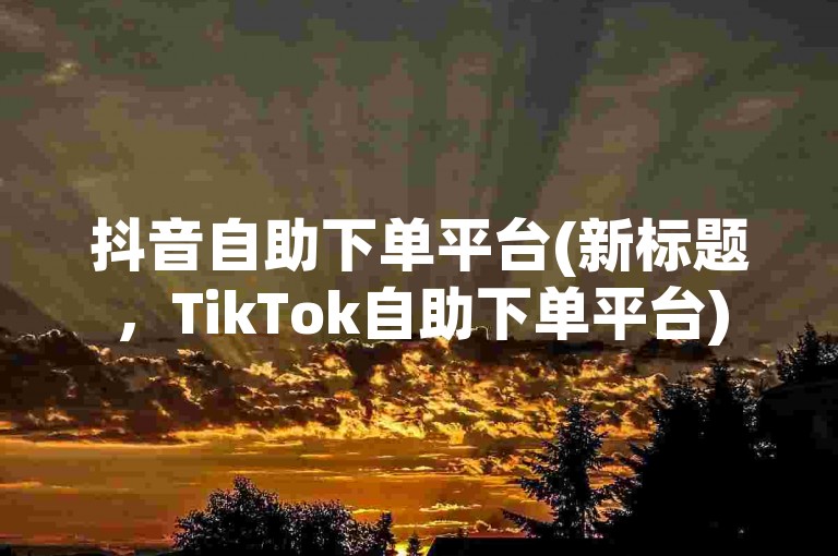 抖音自助下单平台(新标题，TikTok自助下单平台)