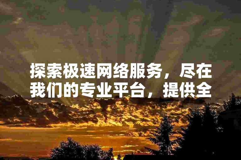 探索极速网络服务，尽在我们的专业平台，提供全天候的QQ会员充值、快手点赞支持及抖音粉丝增长方案！