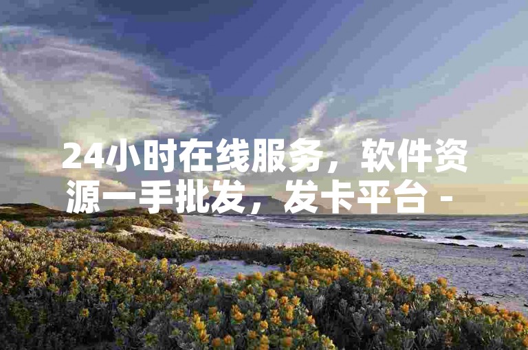 24小时在线服务，软件资源一手批发，发卡平台 - 获取最实惠的自助下单软件，尽在卡盟低价官方自助下单网站。