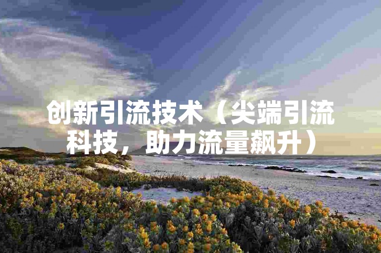 创新引流技术（尖端引流科技，助力流量飙升）