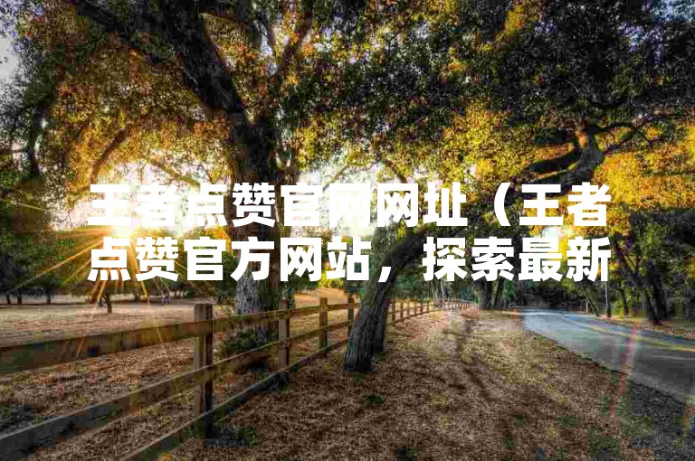 王者点赞官网网址（王者点赞官方网站，探索最新网址的奥秘）