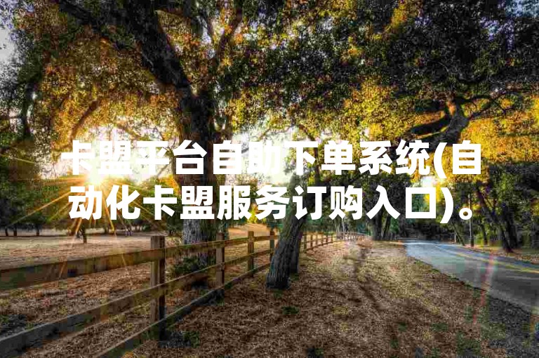 卡盟平台自助下单系统(自动化卡盟服务订购入口)。