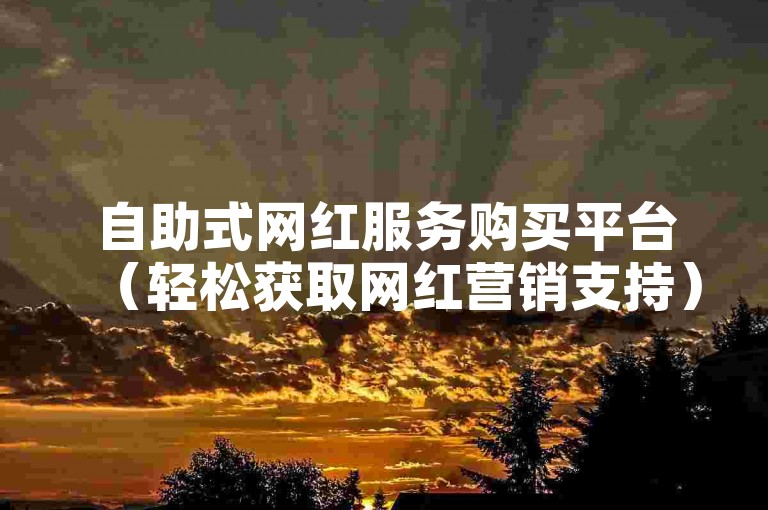 自助式网红服务购买平台（轻松获取网红营销支持）