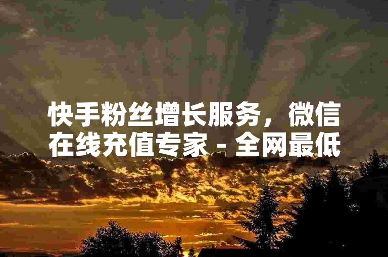 快手粉丝增长服务，微信在线充值专家 - 全网最低价的充值站点 - ks快速增粉通道