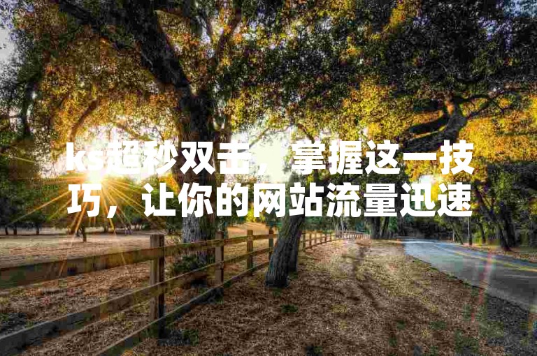 ks超秒双击，掌握这一技巧，让你的网站流量迅速增长，轻松实现SEO优化。