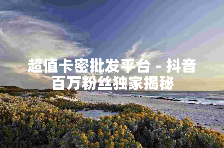超值卡密批发平台 - 抖音百万粉丝独家揭秘