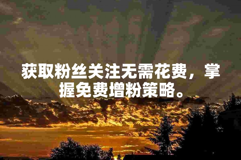 获取粉丝关注无需花费，掌握免费增粉策略。