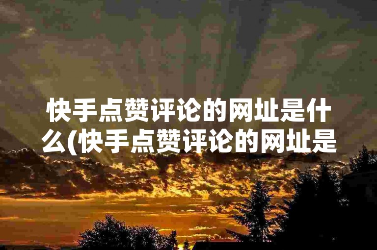 快手点赞评论的网址是什么(快手点赞评论的网址是什么呢)