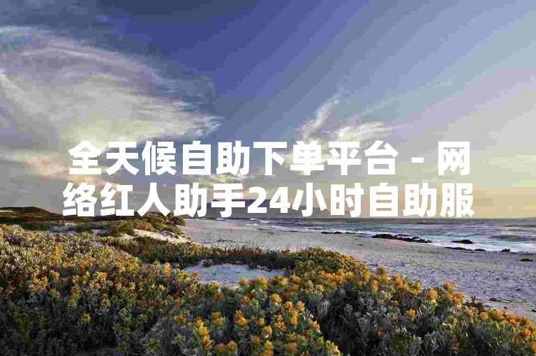 全天候自助下单平台 - 网络红人助手24小时自助服务系统。