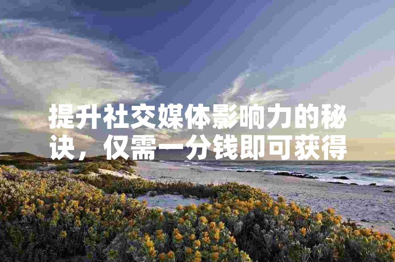 提升社交媒体影响力的秘诀，仅需一分钱即可获得数千点赞 - 全天候自助服务站点 - 抖音点赞自助快速响应平台。