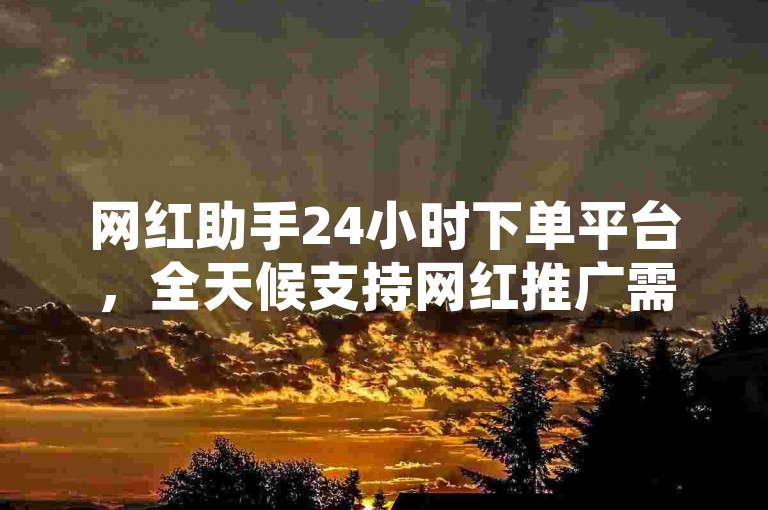 网红助手24小时下单平台，全天候支持网红推广需求。
