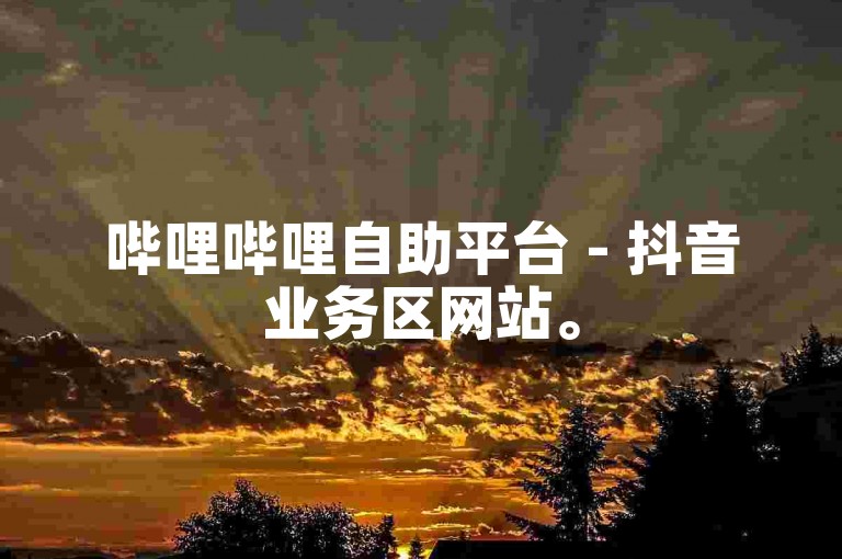 哔哩哔哩自助平台 - 抖音业务区网站。