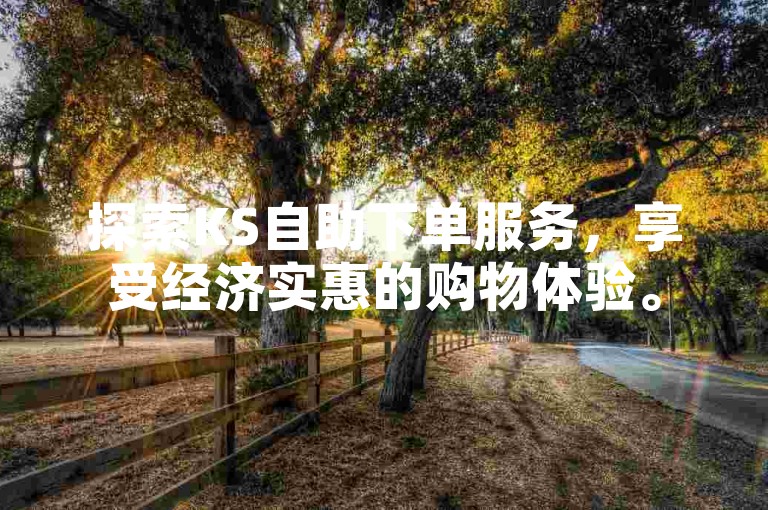 探索KS自助下单服务，享受经济实惠的购物体验。