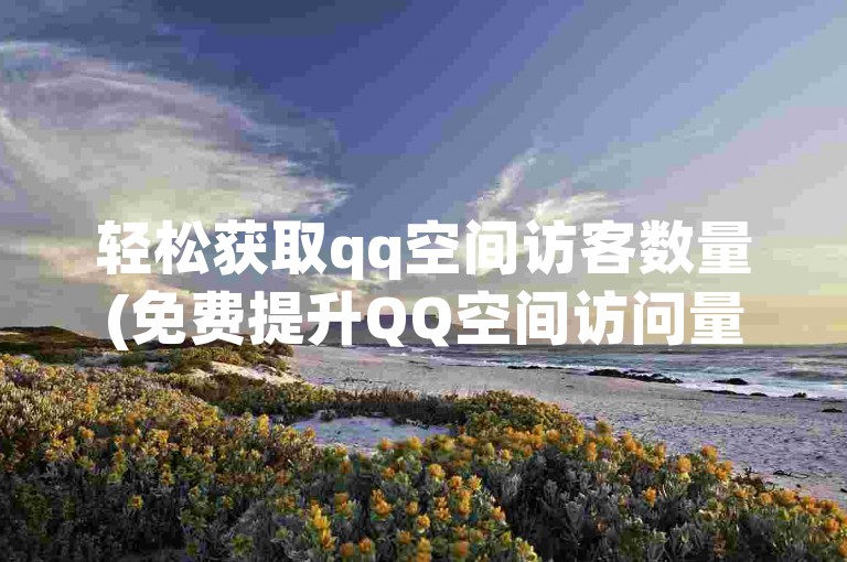轻松获取qq空间访客数量(免费提升QQ空间访问量)