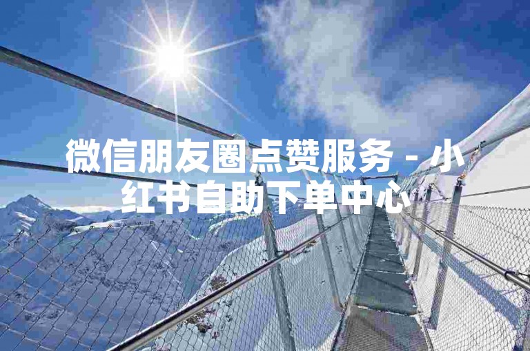 微信朋友圈点赞服务 - 小红书自助下单中心