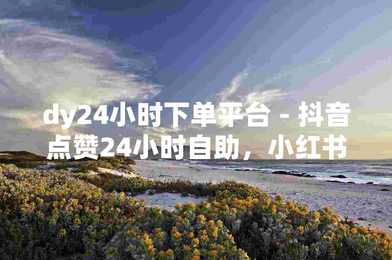dy24小时下单平台 - 抖音点赞24小时自助，小红书涨粉随时可操作 - 24小时不间断刷评论