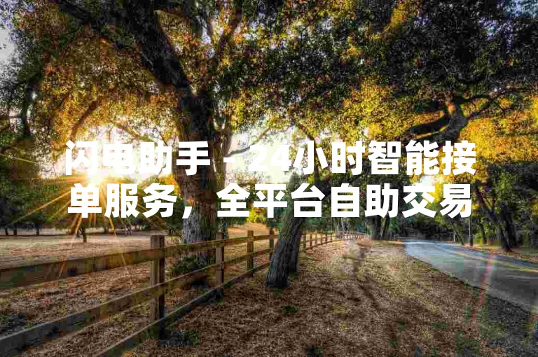 闪电助手 - 24小时智能接单服务，全平台自助交易系统，快手全天候涨粉互动平台。