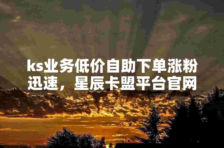 ks业务低价自助下单涨粉迅速，星辰卡盟平台官网 - 抖音免费点赞 - 抖音卡盟平台自助惊喜不断