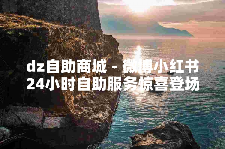 dz自助商城 - 微博小红书24小时自助服务惊喜登场！