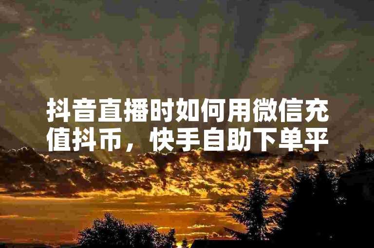 抖音直播时如何用微信充值抖币，快手自助下单平台低价涨粉 - 免费获取抖音10000点赞的渠道 - 抖音推广上热门技巧