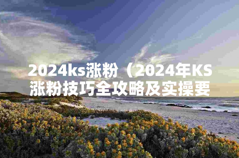 2024ks涨粉（2024年KS涨粉技巧全攻略及实操要点）