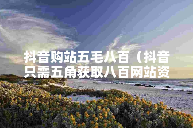抖音购站五毛八百（抖音只需五角获取八百网站资源）