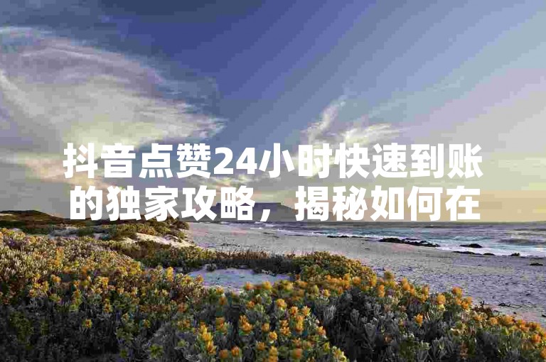 抖音点赞24小时快速到账的独家攻略，揭秘如何在抖音上实现24小时内点赞秒到！2024年必备技巧