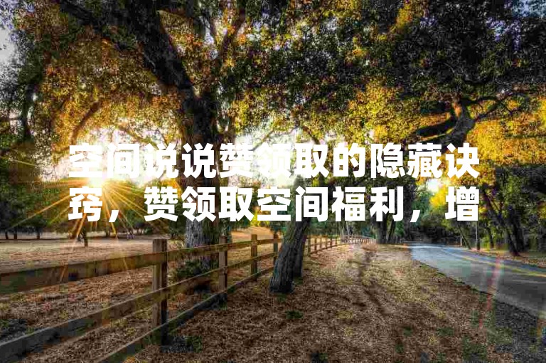 空间说说赞领取的隐藏诀窍，赞领取空间福利，增强你的网站流量！2024必备