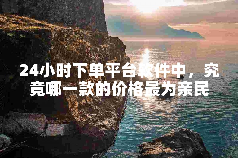 24小时下单平台软件中，究竟哪一款的价格最为亲民呢？