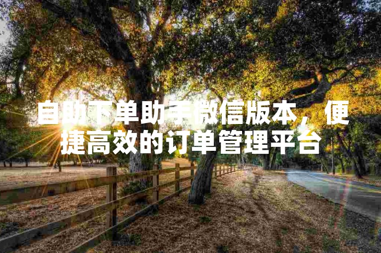 自助下单助手微信版本，便捷高效的订单管理平台