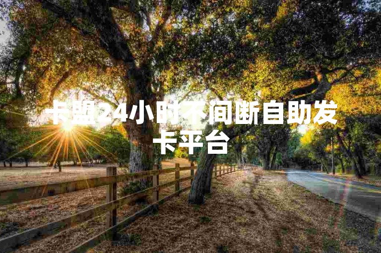 卡盟24小时不间断自助发卡平台
