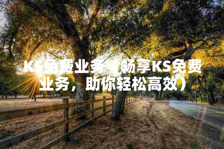 KS免费业务（畅享KS免费业务，助你轻松高效）