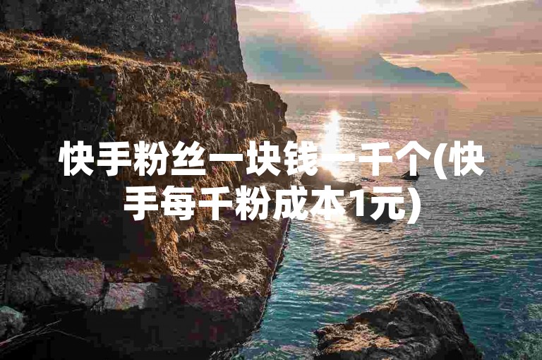 快手粉丝一块钱一千个(快手每千粉成本1元)