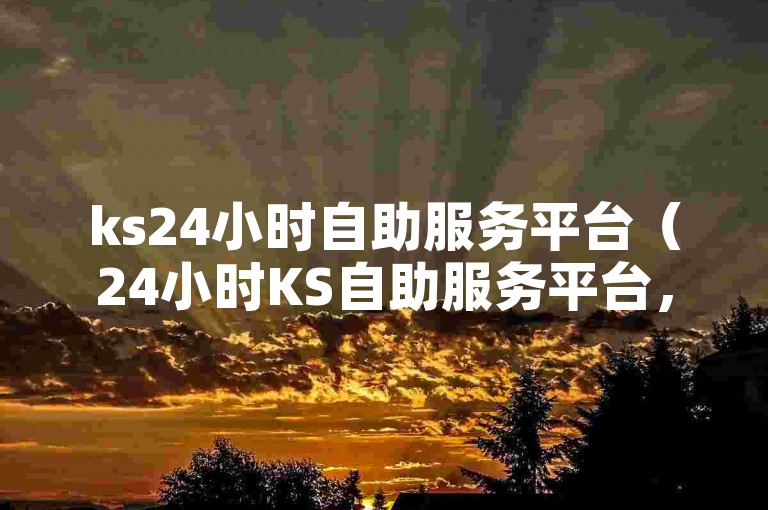 ks24小时自助服务平台（24小时KS自助服务平台，便捷服务随时享）